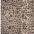 Barely There Women's Invisible Look Hipster